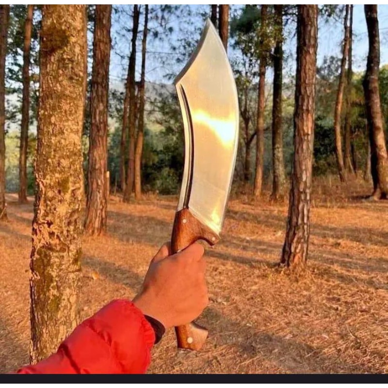 Handmade High Carbon Steel Cleaver 17 With Rosewood Handle Leather Sheath 5
