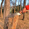 Handmade High Carbon Steel Cleaver 17 With Rosewood Handle Leather Sheath 6