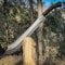 Handmade High Carbon Steel Short Sword 24 With Rosewood Handle Leather Sheath 0