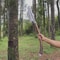 Handmade High Carbon Steel Spear 35 With Rosewood Handle Silver Accents Leather Sheath 1