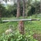 Handmade High Carbon Steel Sword 36 With Rosewood Handle Leather Sheath 3
