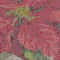 Holiday Poinsetta Cross Stitch Pattern LOOK 10