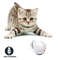 LED Laser Electronic Rolling Pet Toy Ball 0