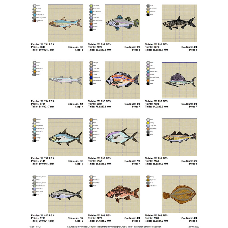 OESD 11164 Saltwater Fish 0