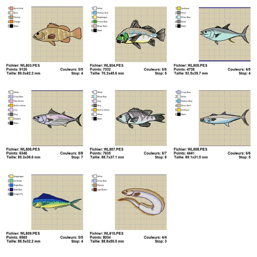 OESD 11164 Saltwater Fish 1