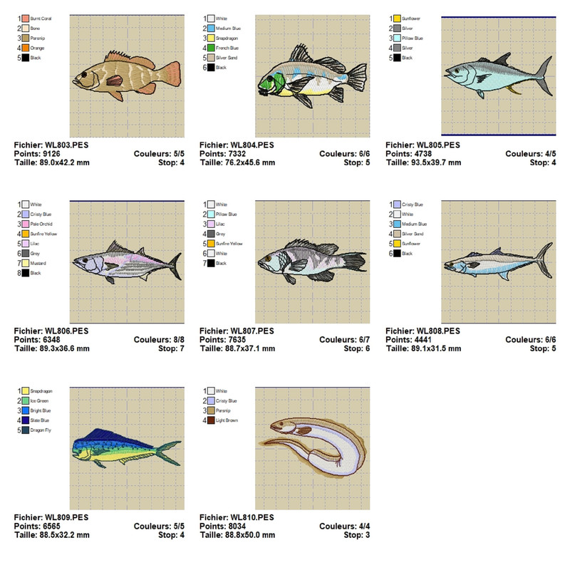OESD 11164 Saltwater Fish 1