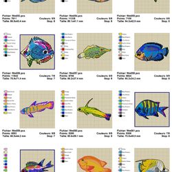 oesd 11297 saltwater aquarium fish