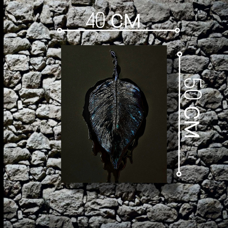 The Picture Is Black 1