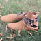 Handmade Camel Brown Color Original Suede Stylish High Ankle Rounded Embroided Strap With Steel Chain Jodhpurs Boots 1