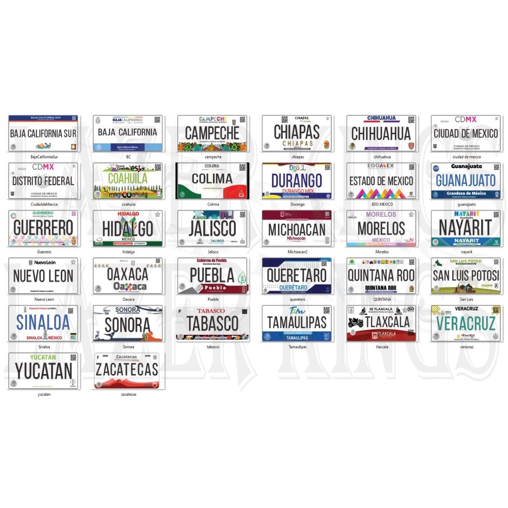 MEXICO LICENSE PLATE Bundle 0
