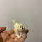 Miniature Dog Dollhouse Miniature Ooak Crocheted Pekingese Puppy Needle Felted Animals I 112 Realis
