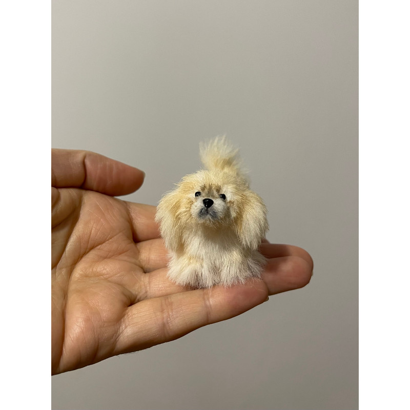 Miniature Dog Dollhouse Miniature Ooak Crocheted Pekingese Puppy Needle Felted Animals I 112 Realis