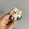 Miniature Dog Dollhouse Miniature Maltese Ooak Crochet Poodle Puppy Needle Felted Animal 112 Realis 0