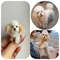 Miniature Dog Dollhouse Miniature Maltese Ooak Crochet Poodle Puppy Needle Felted Animal 112 Realis 11
