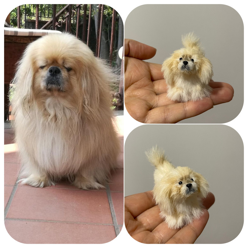 Miniature Dog Dollhouse Miniature Ooak Crocheted Pekingese Puppy Needle Felted Animals I 112 Realis 2