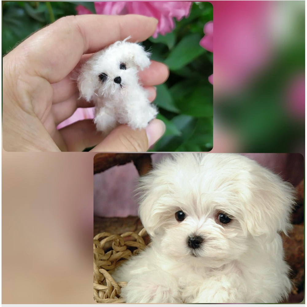 Miniature Dog Dollhouse Miniature Maltese Ooak Crochet Poodle Puppy Needle Felted Animal 112 Realis 3