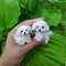 Miniature Dog Dollhouse Miniature Maltese Ooak Crochet Poodle Puppy Needle Felted Animal 112 Realis 4