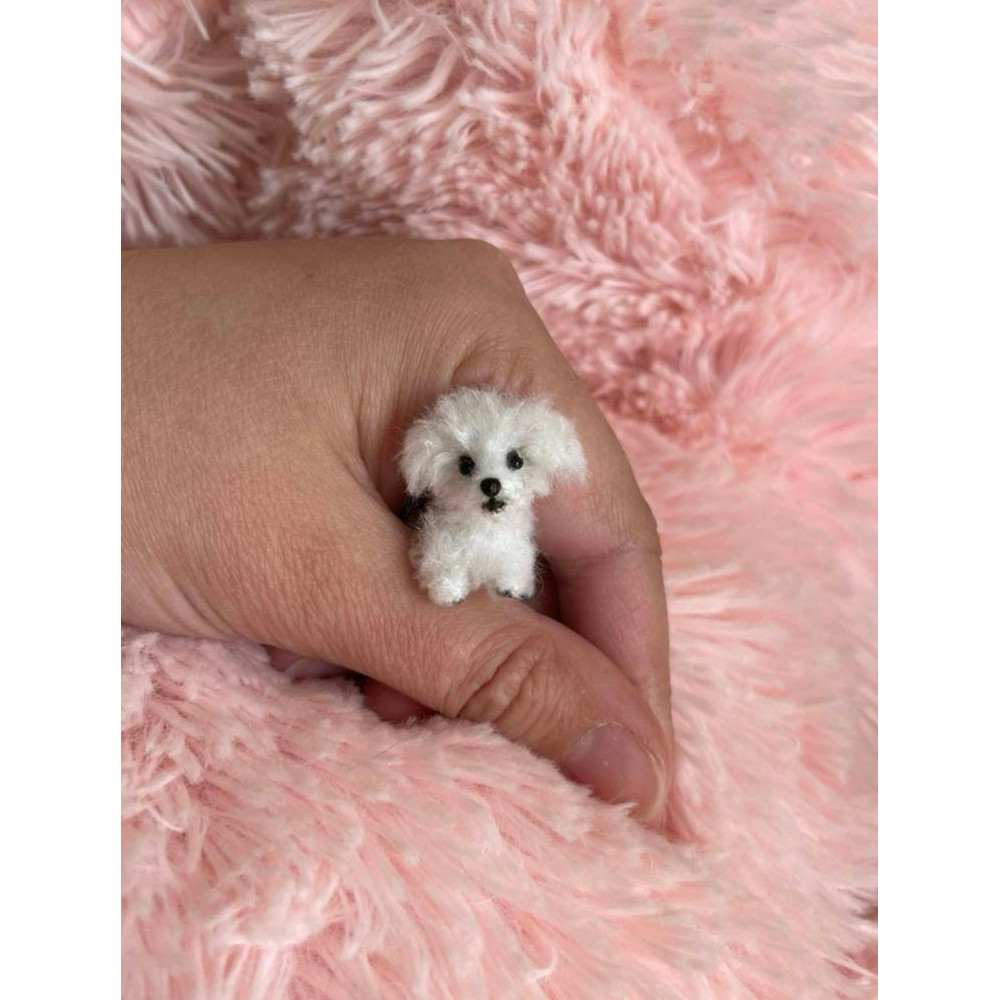 Miniature Dog Dollhouse Miniatures Maltese Ooak Crochet Poodle Puppy Needle Felted Animals 112 Real 1