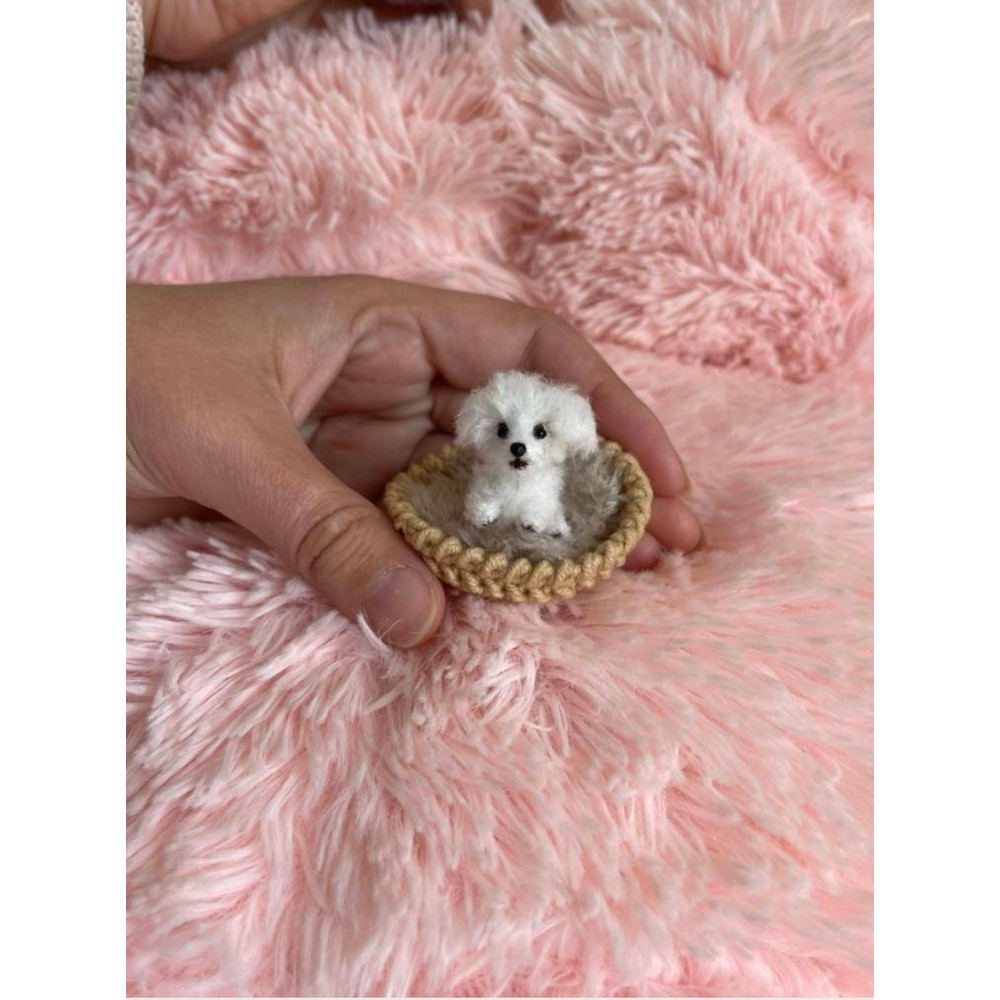 Miniature Dog Dollhouse Miniatures Maltese Ooak Crochet Poodle Puppy Needle Felted Animals 112 Real 4