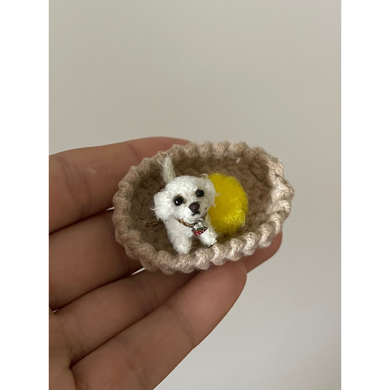 Micro Dog Dollhouse Miniature Maltese Ooak Crochet Poodle Puppy Realistic Animal 2