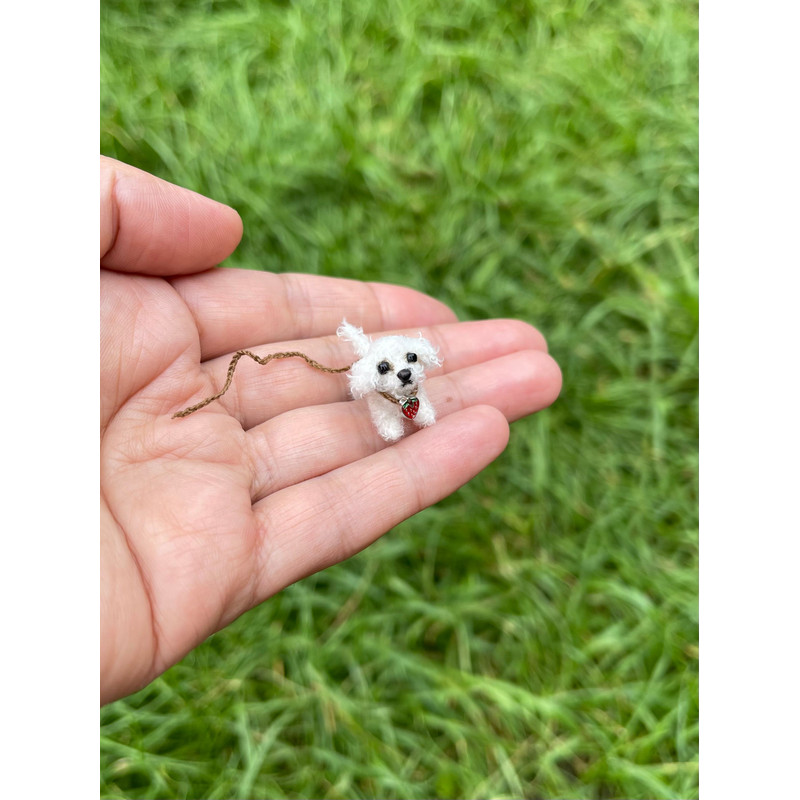 Micro Dog Dollhouse Miniature Maltese Ooak Crochet Poodle Puppy Realistic Animal 5