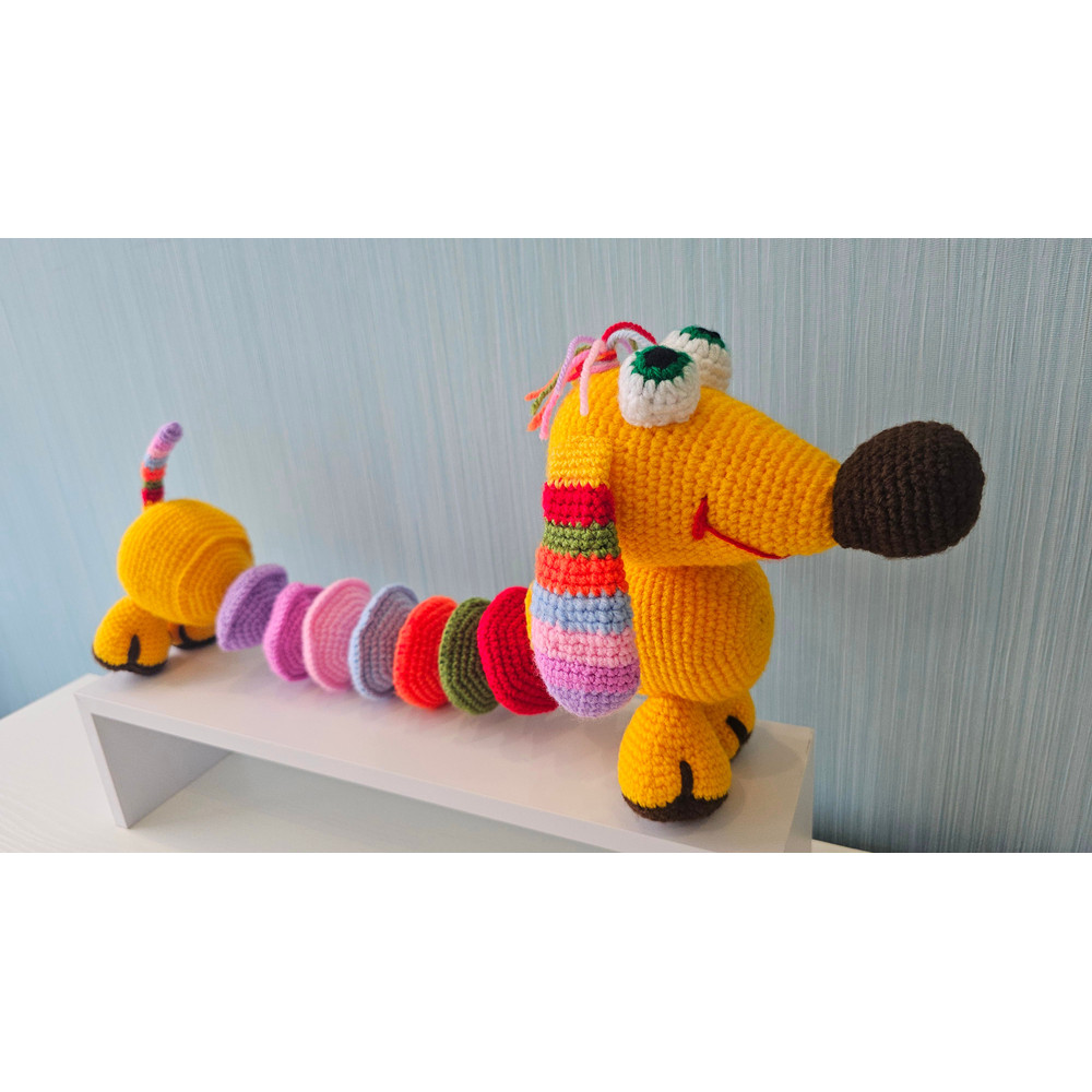Handmade Crochet Multicolor Educational Dog 3