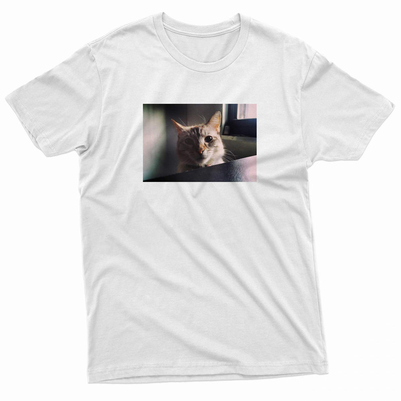 The Cranberries Ode To My Pawmily TShirt 0