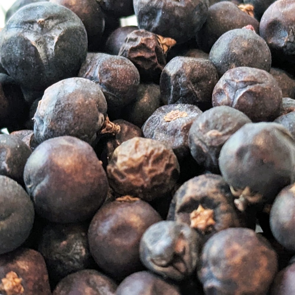 DIY NoFrills Bathtub Gin Kit Each Packet Set Makes 16 Oz 2