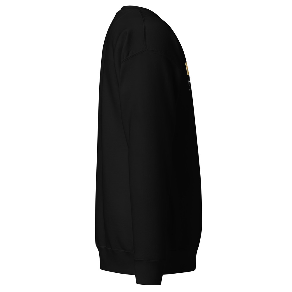 Unisex Premium Sweatshirt Mindset Is Everything Sweatshirt Positive Vibes Tee Inspirational Sweatsh 14