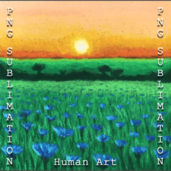 oil pastel png sublimation "cornflowers field"