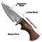 Viking Craft Custom Damascus Steel Hunting Knife Fixed Blade Personalized Engraving Ideal Gift For  2