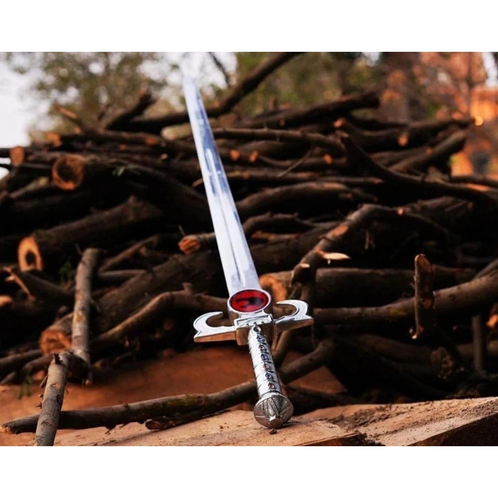 Handmade Fantasy Anime Sword Lion Warrior Style Cosplay Decor Collectible Display Blade 2