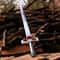 Handmade Fantasy Anime Sword Lion Warrior Style Cosplay Decor Collectible Display Blade 2