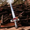 Handmade Fantasy Anime Sword Lion Warrior Style Cosplay Decor Collectible Display Blade 2