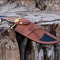 Handmade Forged Bowie Knife Stainless Steel Blade Hunting Knife With Leather Sheath 4