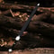 Medieval Fantasy Long Sword Handcrafted Steel Blade With Scabbard Collector Display Sword 1