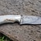 Real Damascus Small EDC Hunting Knife 150 Layers Stag Horn Handle With Leather Sheath 4