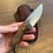 Compact N690 Steel Camping Knife Walnut Wood Outdoor Hunting Blade 0