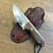 Compact N690 Steel Camping Knife Walnut Wood Outdoor Hunting Blade 7