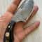 Real Damascus Skinning Knife 150 Layers Full Tang Hunting EDC Knife With Cow Horn Handle 5