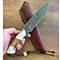 Handmade Damascus Outdoor Knife Stag Horn Silverberry Hunting Blade 9