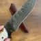 Handmade Damascus Outdoor Knife Stag Horn Silverberry Hunting Blade 4