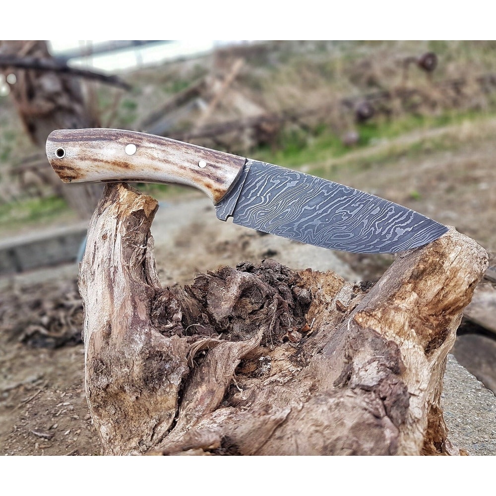 Premium 150 Layer Damascus Steel Outdoor Knife With Full Tang Stag Horn Grip 3