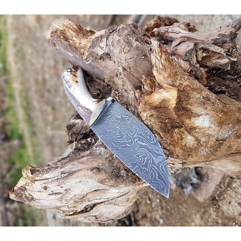 Premium 150 Layer Damascus Steel Outdoor Knife With Full Tang Stag Horn Grip 4