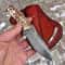 Handmade Damascus Camping Knife Stag Horn Handle Outdoor Hunting Blade 8
