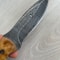Premium 150 Layer Damascus Steel Camping Knife With Full Tang Silverberry Grip 3