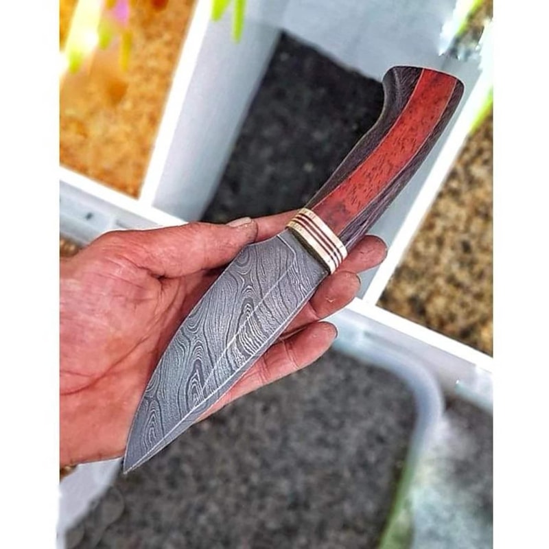 Handmade Damascus Bushcraft Knife Padauk Wenge Wood Hunting Blade 3
