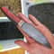 Handmade Damascus Bushcraft Knife Padauk Wenge Wood Hunting Blade 5