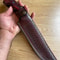 Premium 150 Layer Damascus Steel Full Tang Camping Bushcraft Knife 1