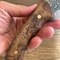 Premium 150 Layer Damascus Steel Outdoor Knife With Full Tang Chestnut Grip 3
